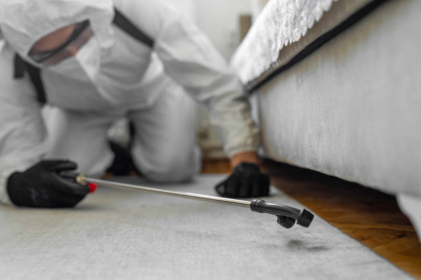 Professional Pest Control technician working in Newton County County, MS